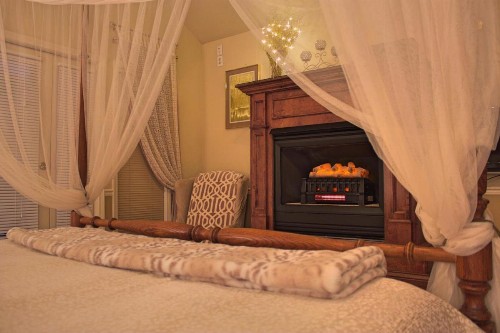 Black Bear Manor - image 5