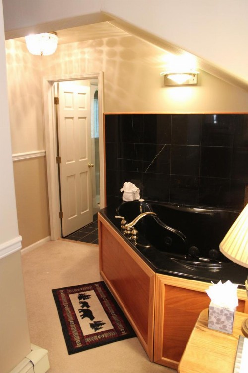 Black Bear Manor - image 7