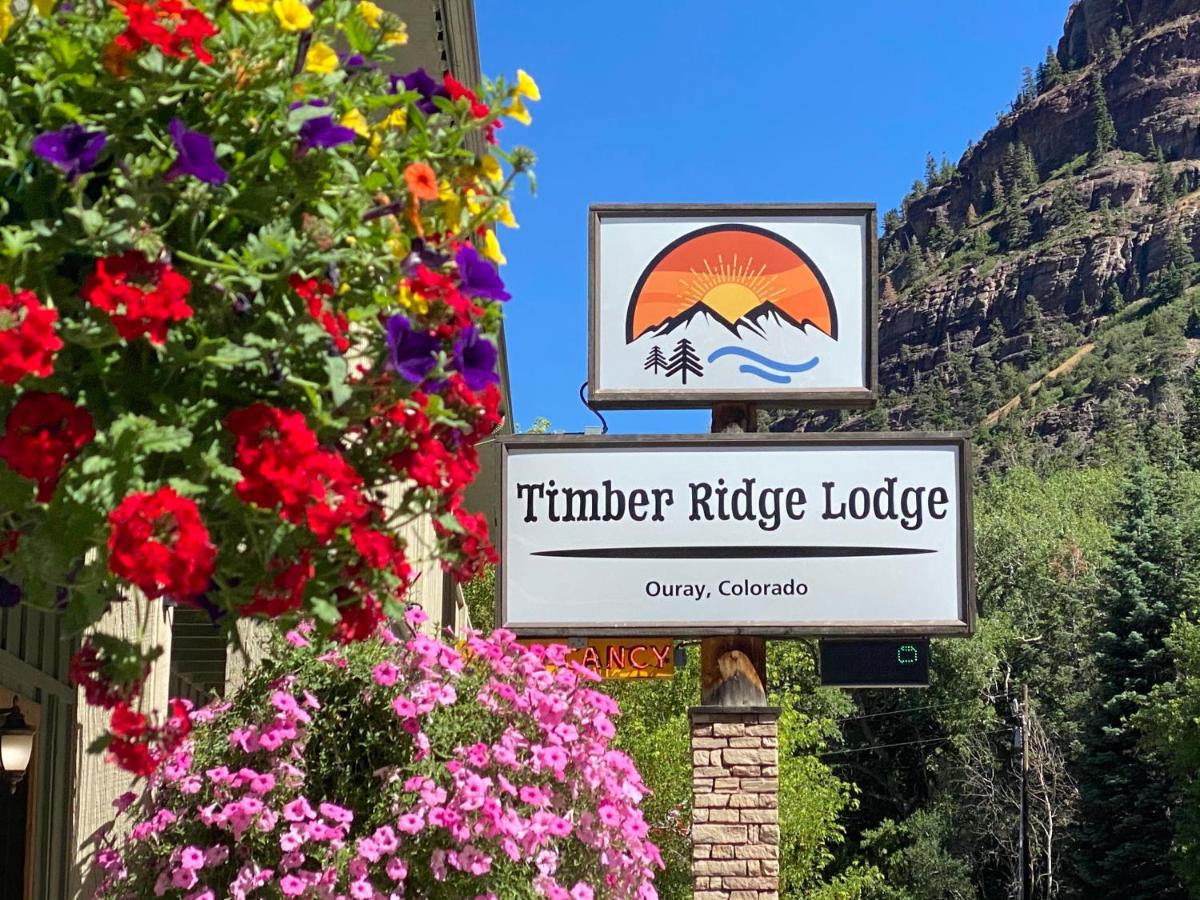 Timber Ridge Lodge Ouray - image 2