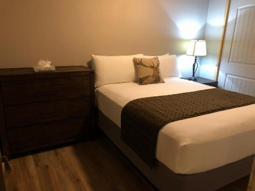 Timber Ridge Lodge Ouray - image 27
