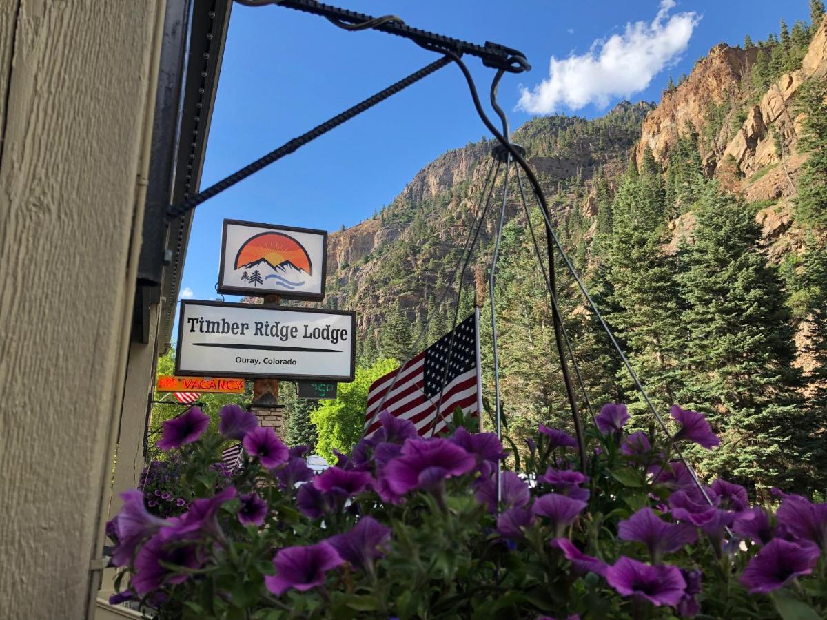 Timber Ridge Lodge Ouray - image 4