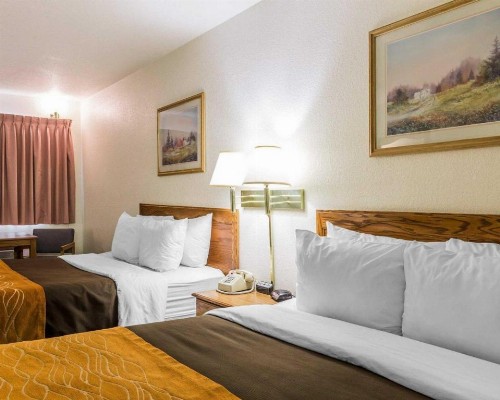 Quality Inn - image 23