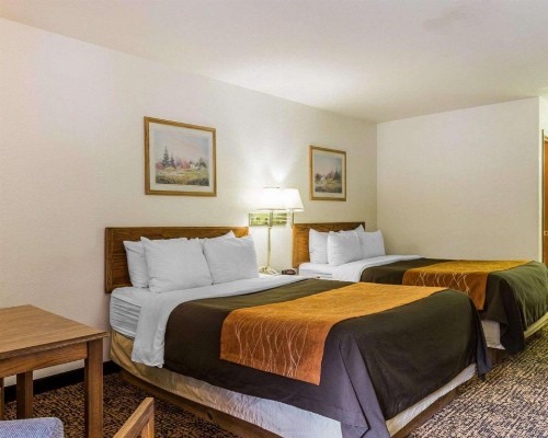 Quality Inn - image 24