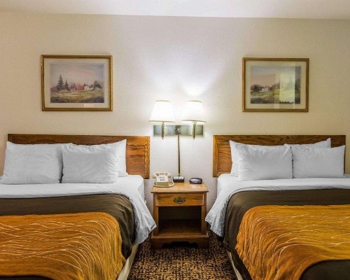 Quality Inn - image 25