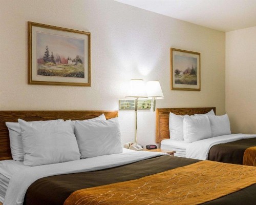 Quality Inn - image 26
