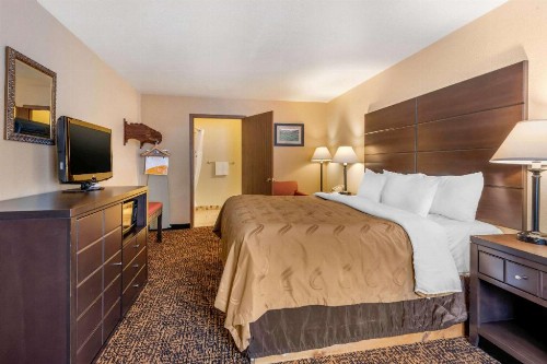 Quality Inn - image 29