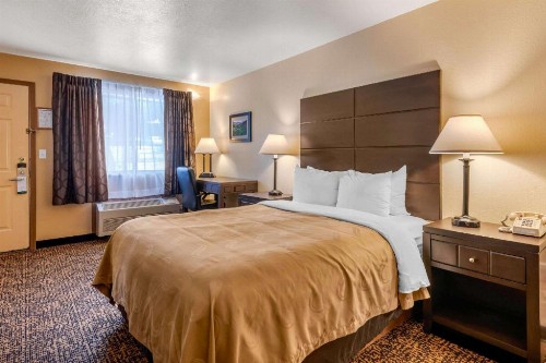 Quality Inn - image 34