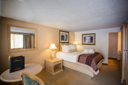 Twin Peaks Lodge & Hot Springs - image 15