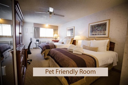 Twin Peaks Lodge & Hot Springs - image 47