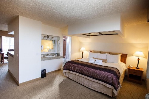Twin Peaks Lodge & Hot Springs - image 5