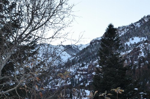 The Ouray Main Street Inn - image 21