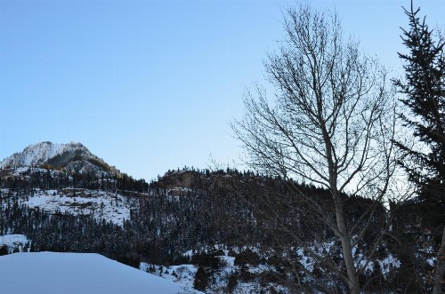 The Ouray Main Street Inn - image 22