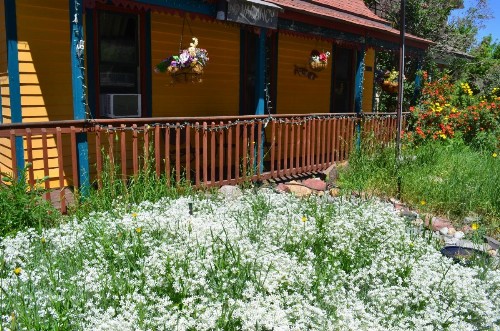 The Ouray Main Street Inn - image 24