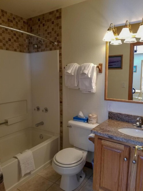 Alpenglow Vacation Rentals - image 10