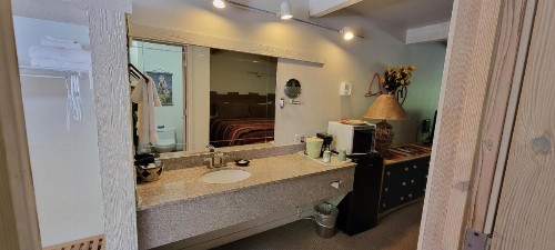 Hot Springs Inn - image 48