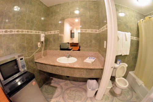 The Palace Inn - image 22