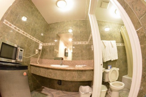 The Palace Inn - image 23