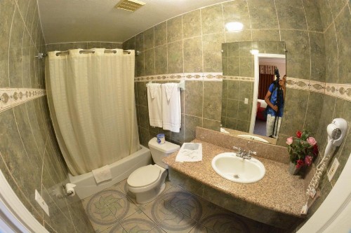 The Palace Inn - image 32