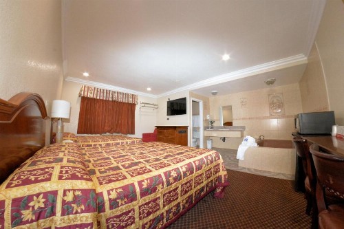 The Palace Inn - image 33