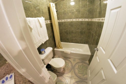 The Palace Inn - image 35