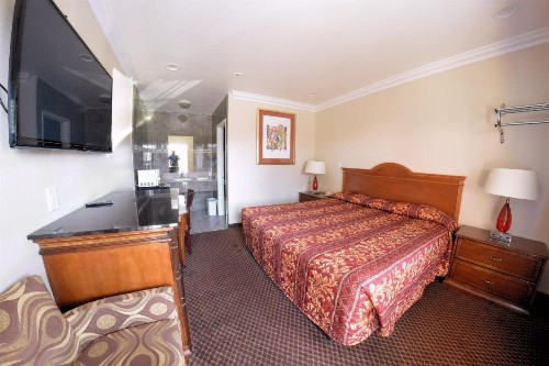 The Palace Inn - image 47