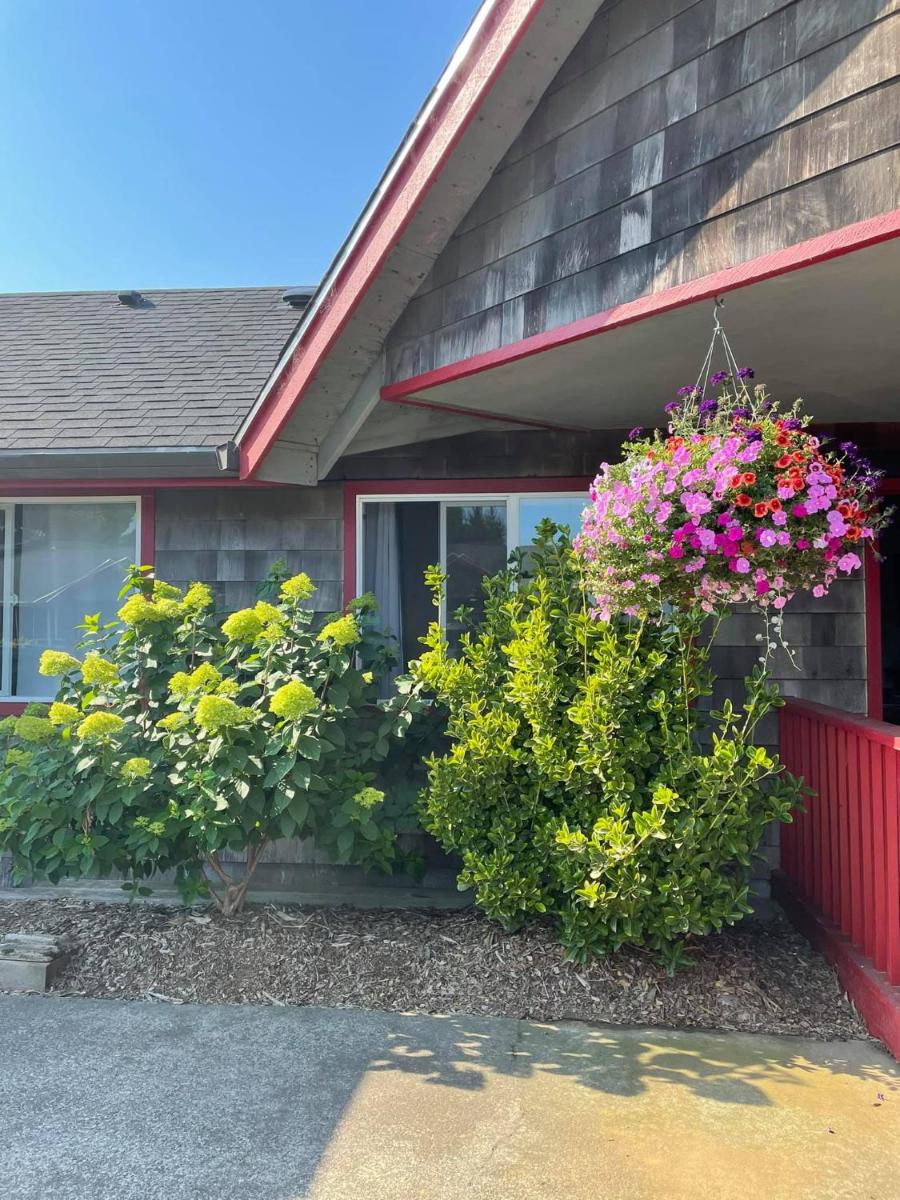 Surf & Sand Inn - image 5