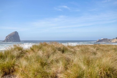 Summerhouse Cottage - image 21