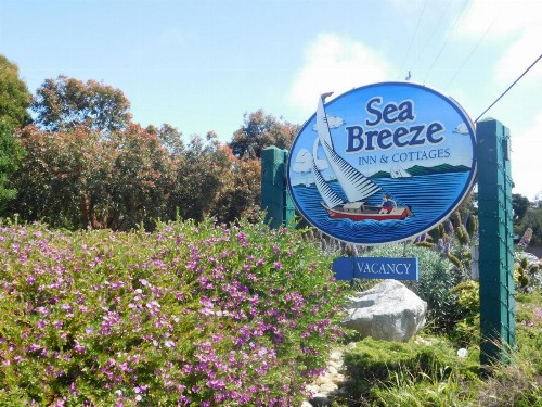 Sea Breeze Inn - Pacific Grove - image 17