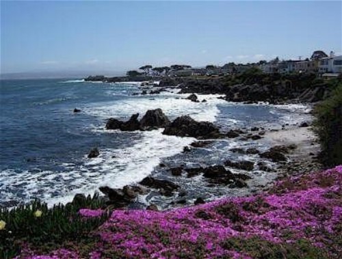 Monterey Peninsula Inn - image 29