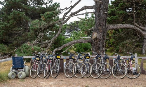 Asilomar Conference Grounds - image 44