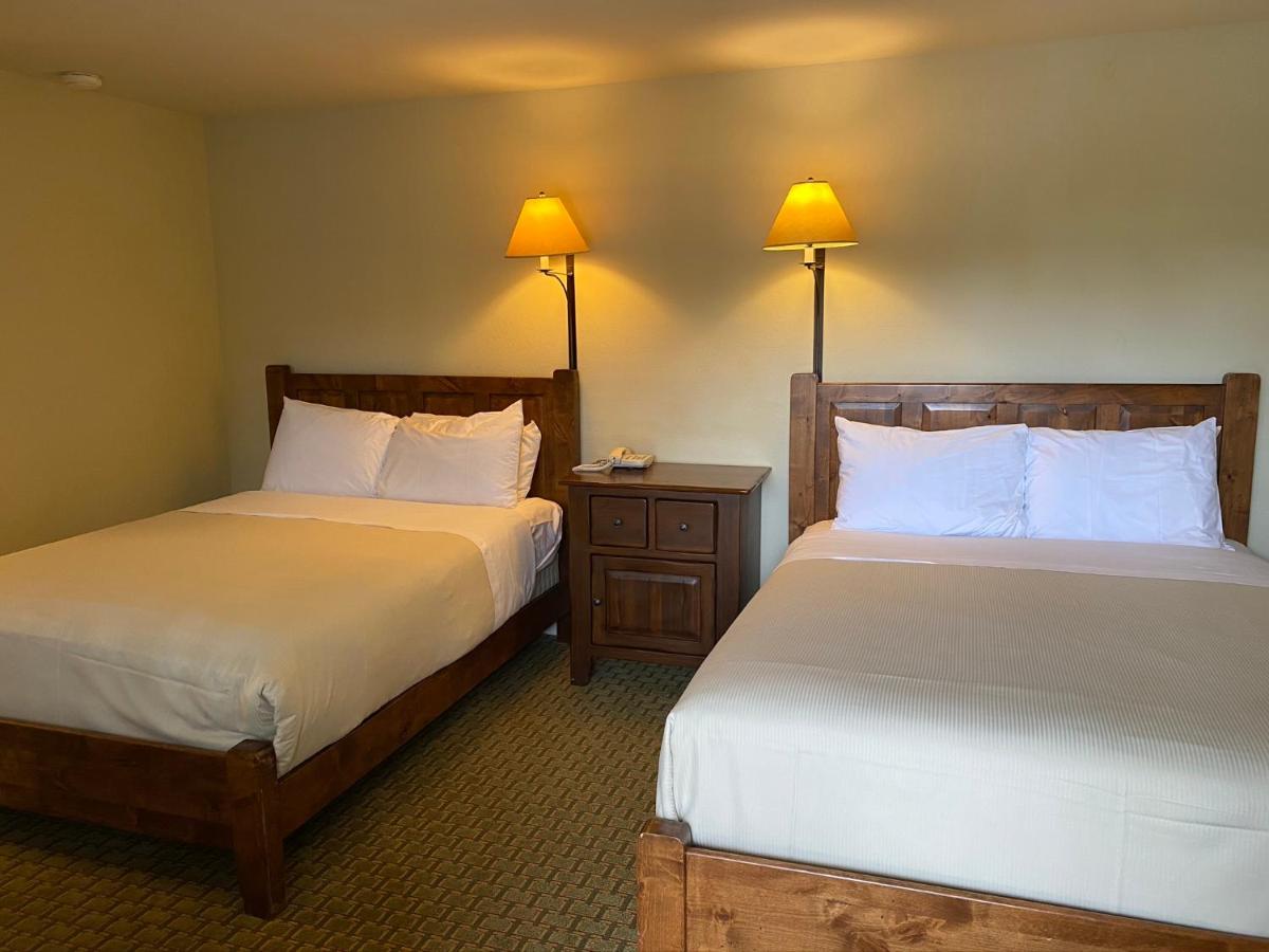 The Olympia Lodge - image 2