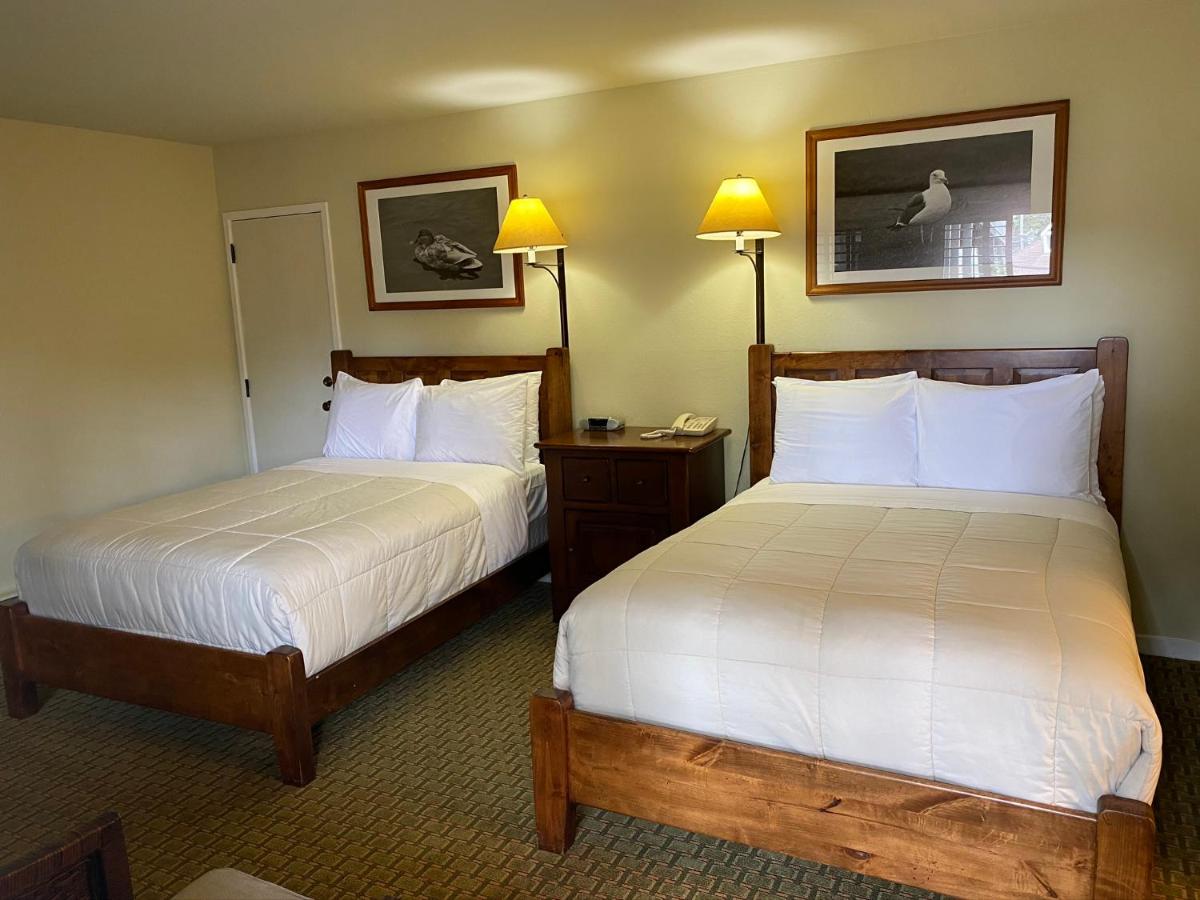 The Olympia Lodge - image 3