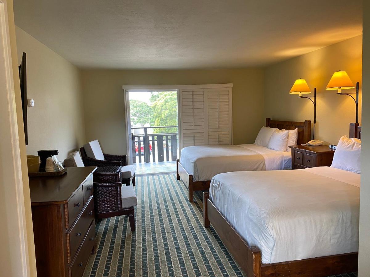 The Olympia Lodge - image 4