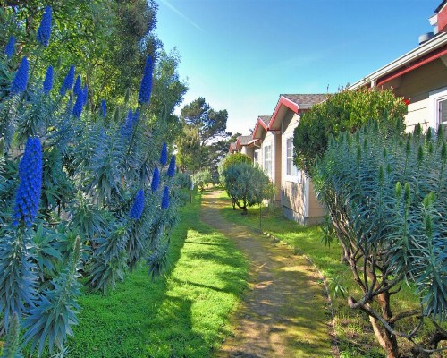 Bide-A-Wee Inn and Cottages - image 16