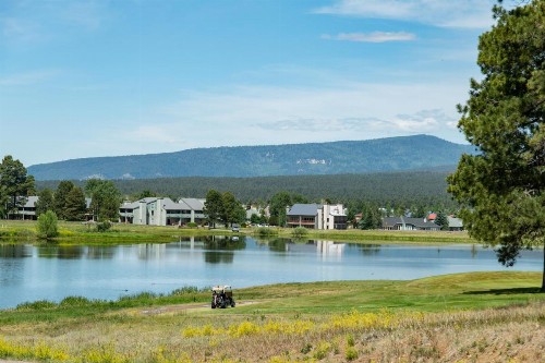Hillside Inn Pagosa - image 18