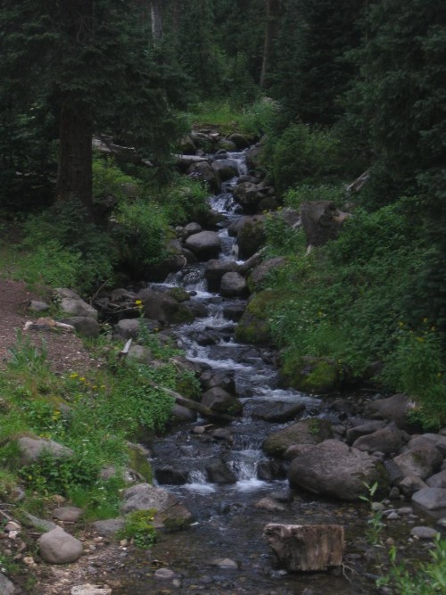 Alpine Inn - image 15
