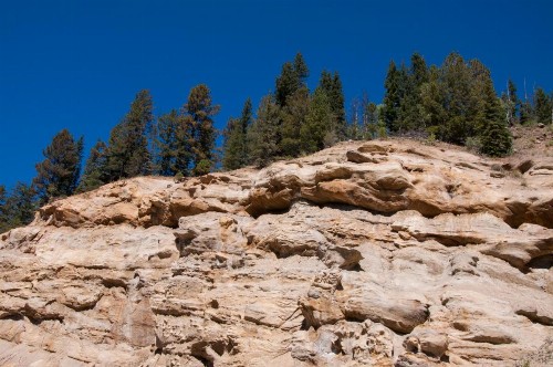 Alpine Inn - image 26