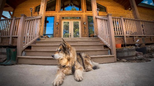 Elktrace Bed and Breakfast - image 19
