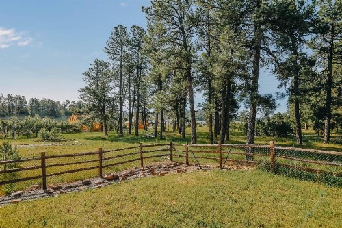 Forest View - image 12