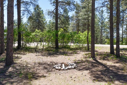 Enchanted Place 18 - image 10