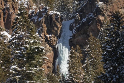 Pines 4039 - image 11