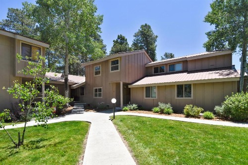 Pines 4039 - image 5