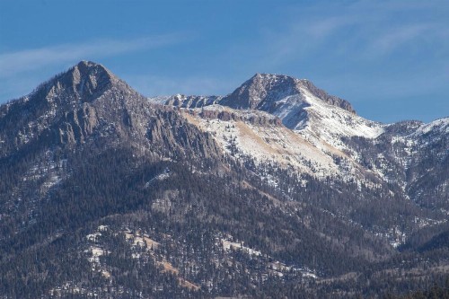 Pines 4039 - image 7