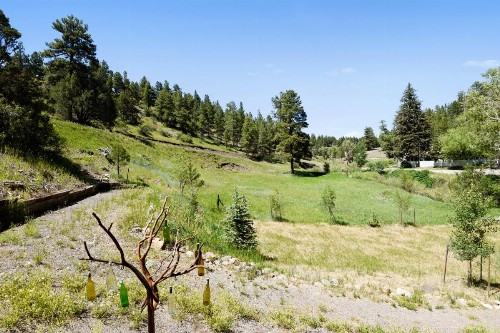 Creekside Cabin (entire house) - image 7