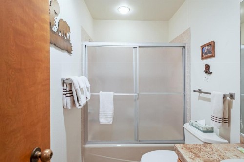 Pagosa Dream - image 11