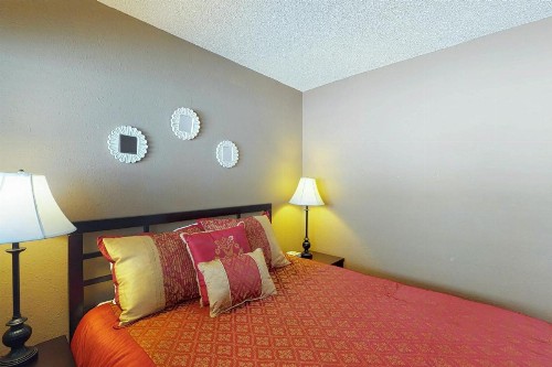 Pines 4013 - image 10