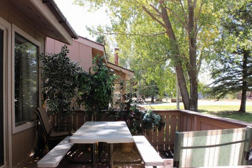 The Pines 4060 - image 4