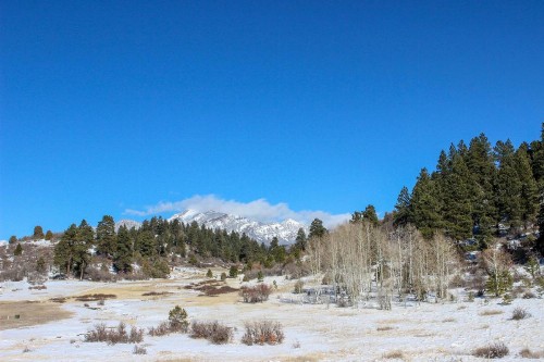 Moose Creek Retreat - image 11