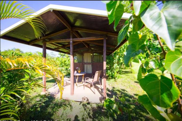 Kirpal Meditation and Ecological Center - image 3