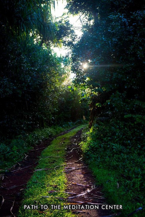 Kirpal Meditation and Ecological Center - image 31